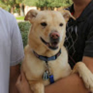 Meet your Posher, Fern